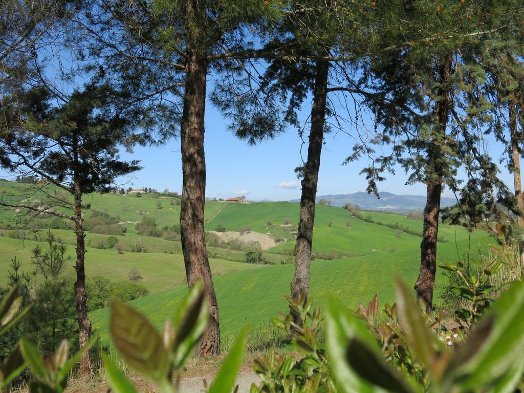 Agriturismo Il Palagetto Pomarance Ngoại thất bức ảnh
