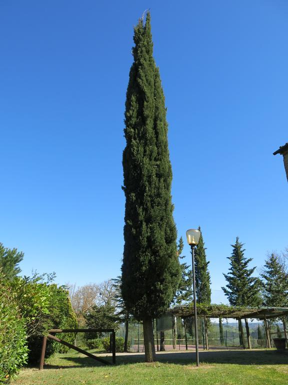 Agriturismo Il Palagetto Pomarance Ngoại thất bức ảnh